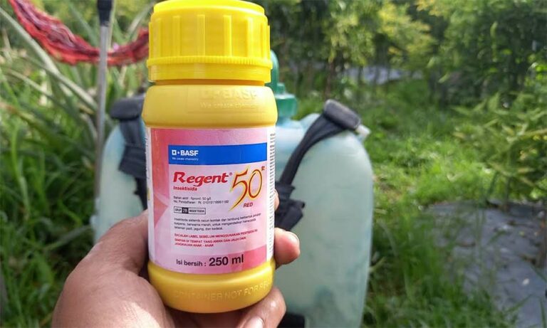 Perbedaan Insektisida Regent merah dan putih